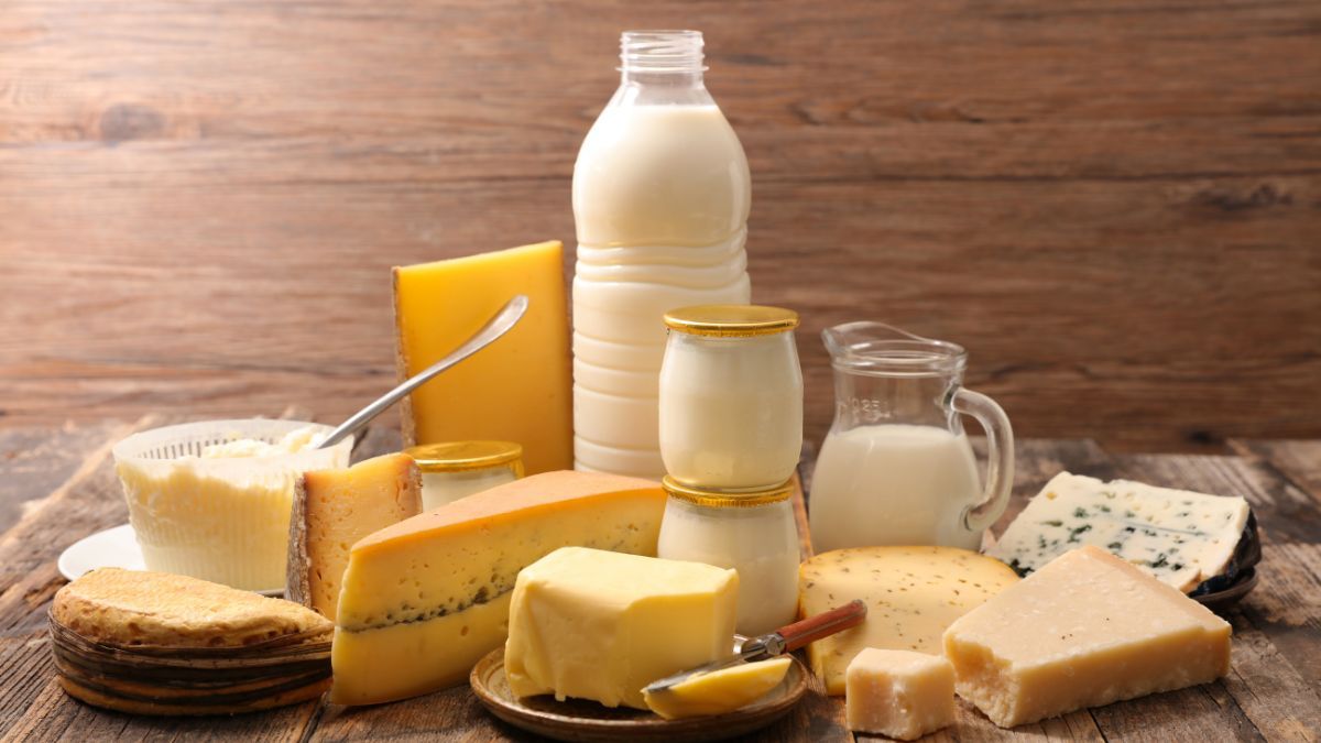 Lácteos como el yogur natural, el queso y la leche. Lácteos como el yogur natural, el queso y la leche.