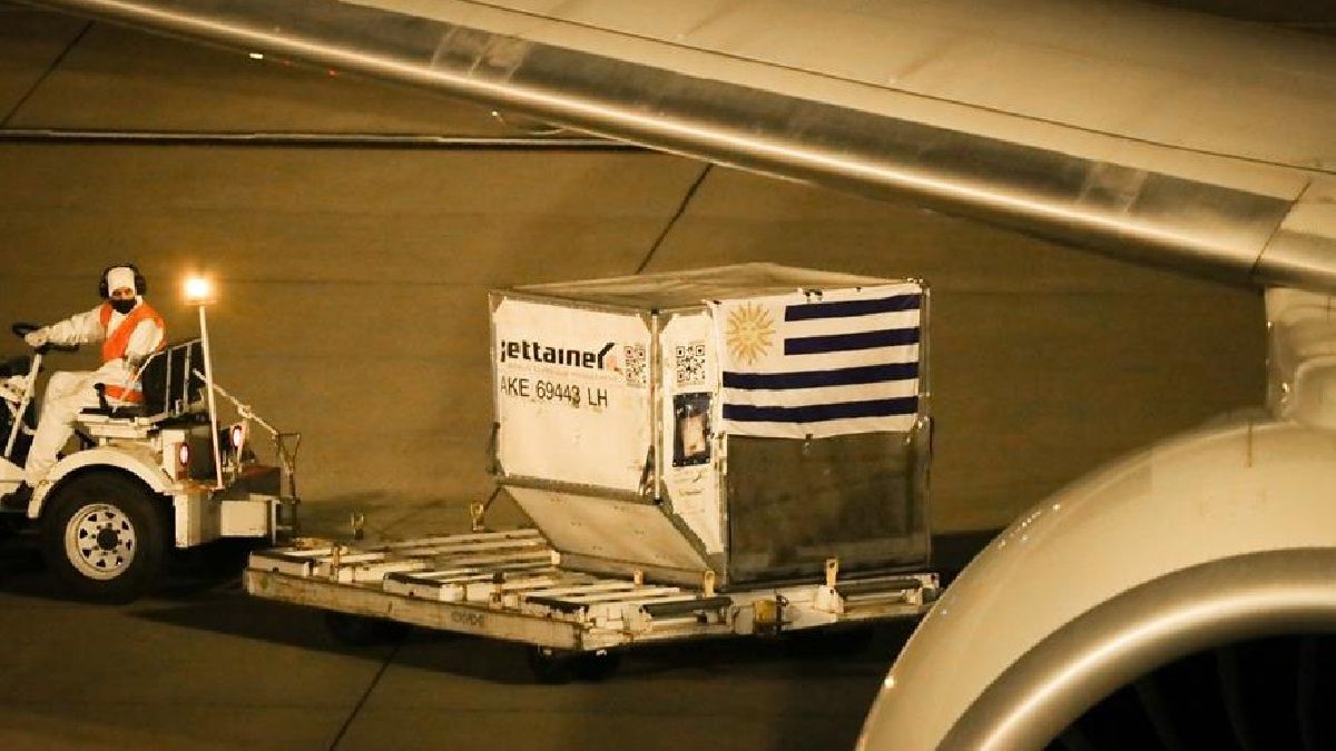 Las dosis de la vacuna de Pfizer llegaron al Aeropuerto de Carrasco