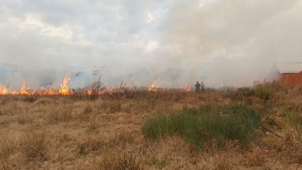 El momento del incendio de los pastizales que fue controlado por Bomberos Zapadores.