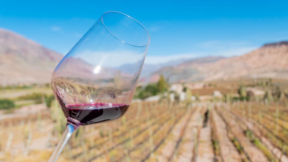 Sus vinos y gastronomía jujeña conforman la identidad del pueblo que hoy es considerado uno de los más lindos del mundo. Sus vinos y gastronomía jujeña conforman la identidad del pueblo que hoy es considerado uno de los más lindos del mundo.