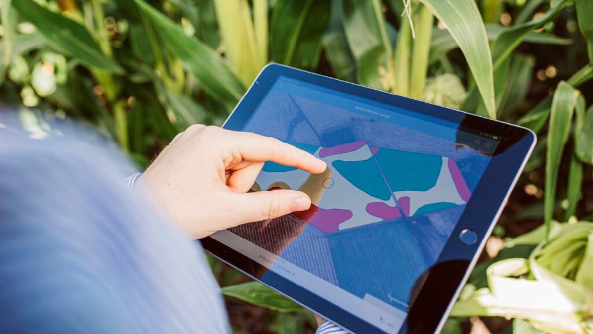 Las startups seleccionadas accederán a beneficios estratégicos como rondas de inversión