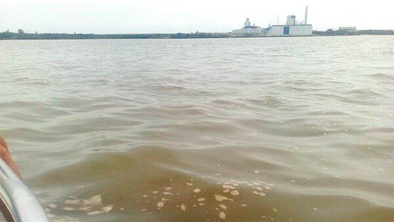 La movilización contra las industrias contaminantes en general, y contra Botnia UPM en particular será este domingo 25 de abril. El objetivo es llegar al puente Internacional General San Martín.