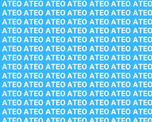Reto visual. Reto visual.