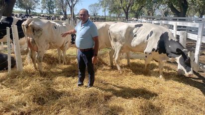 Lechería: la necesidad de litros en el tambo impulsó los precios de la 19° Vidriera Genética