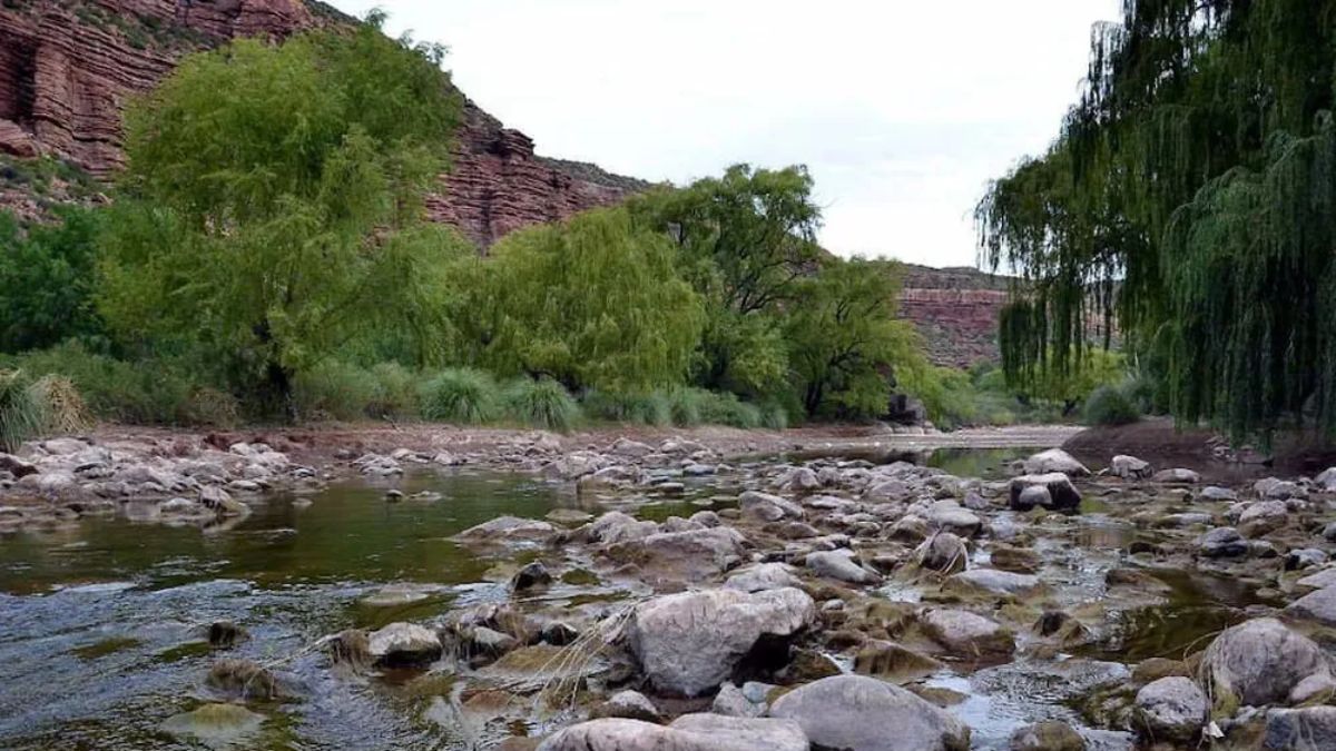 El río Atuel suma frescura y se convierte en un refugio natural para el descanso.
