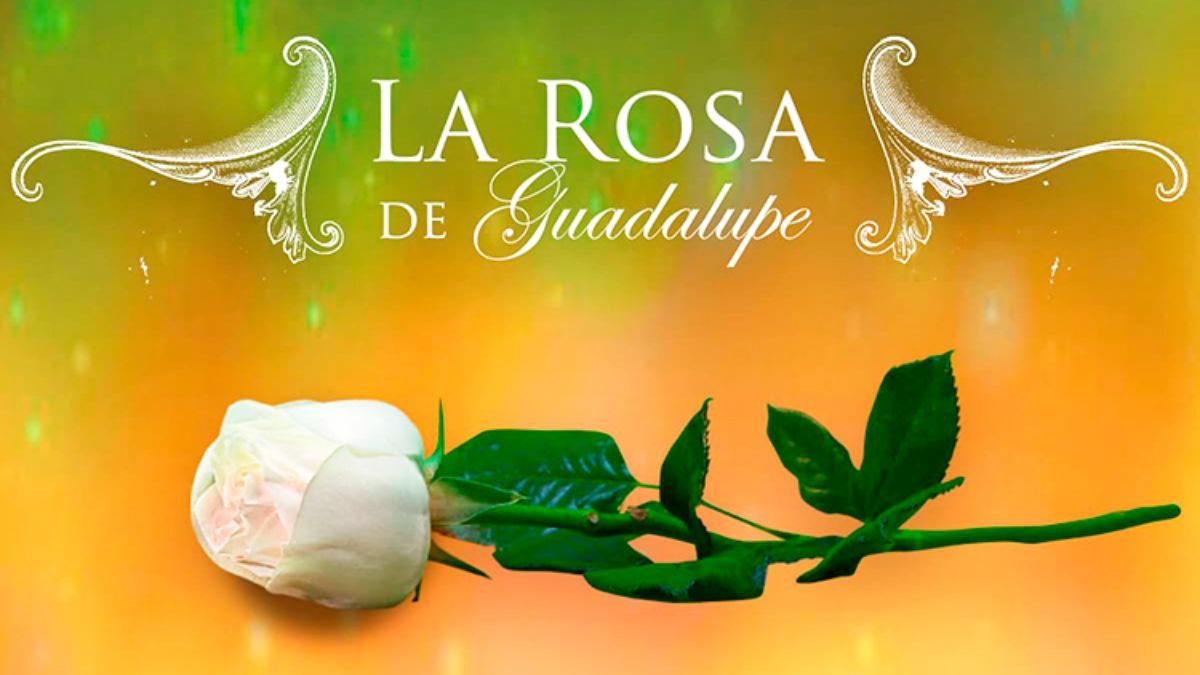 Fue una figura destacada de la televisión mexicana y dejó un legado imborrable.