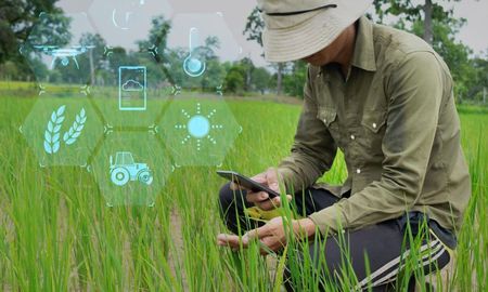 como se aplica la ia al control sanitario del agro como se aplica la ia al control sanitario del agro