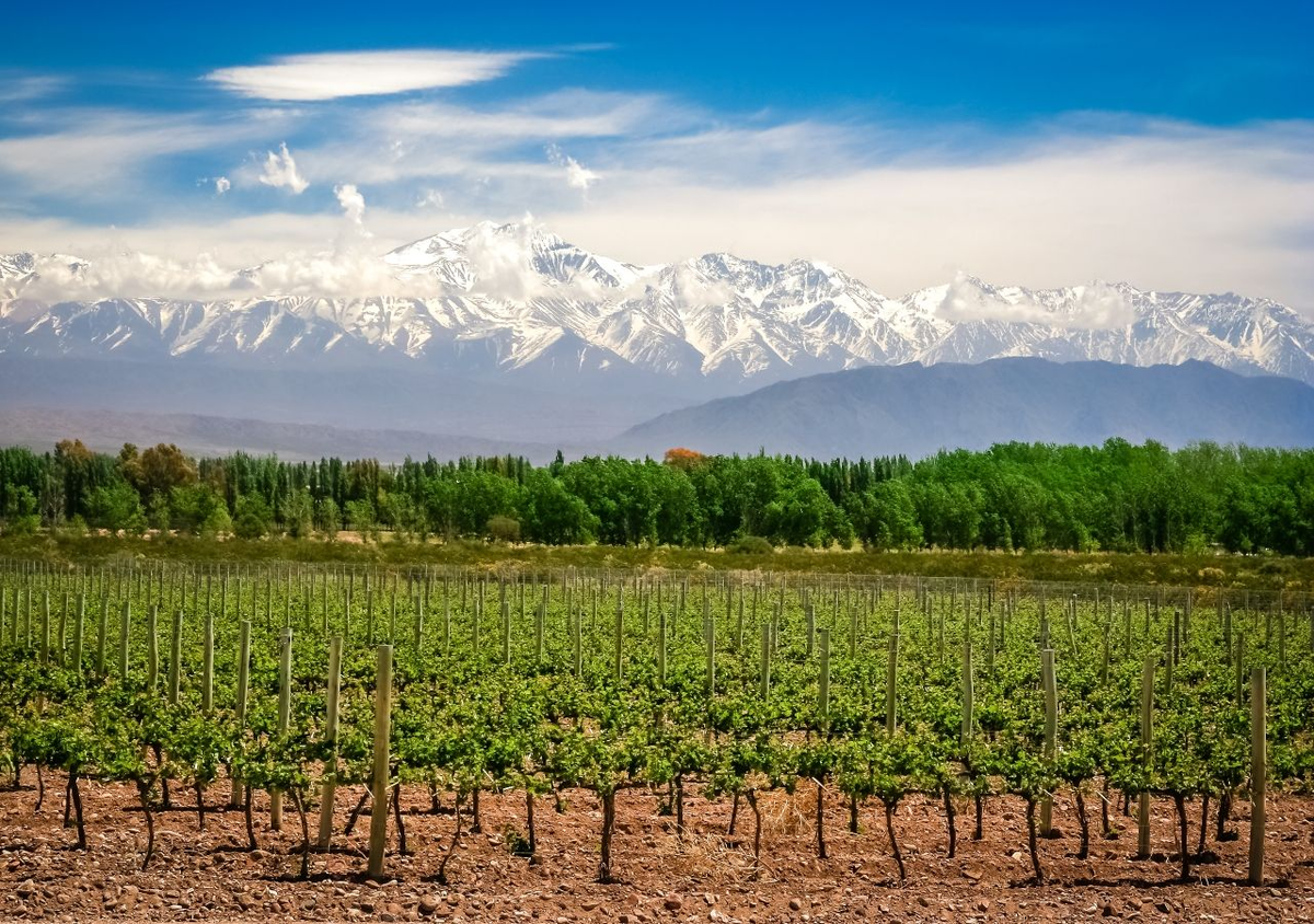Mendoza