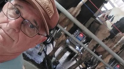 Con inversiones lentas, la lechería debe apuntar a la calidad y la información