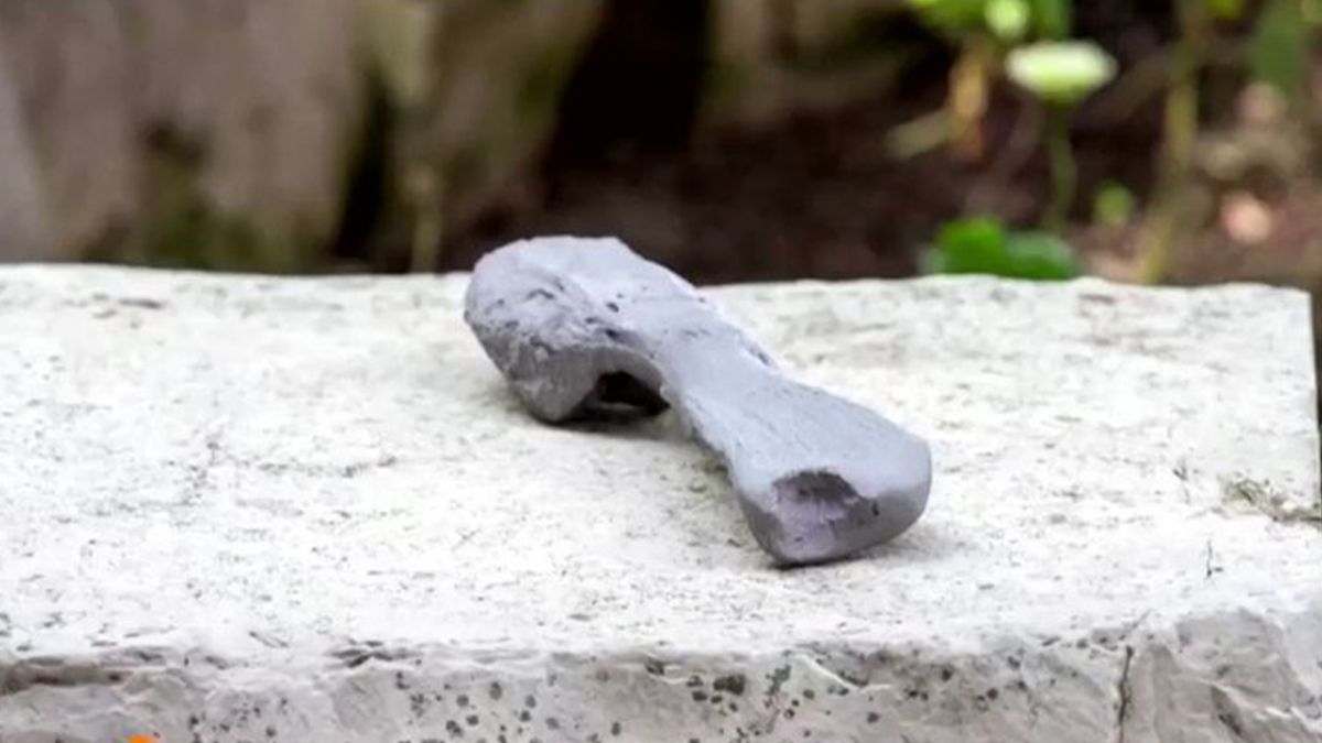 Descubren por primera vez un cáncer maligno en un dinosaurio