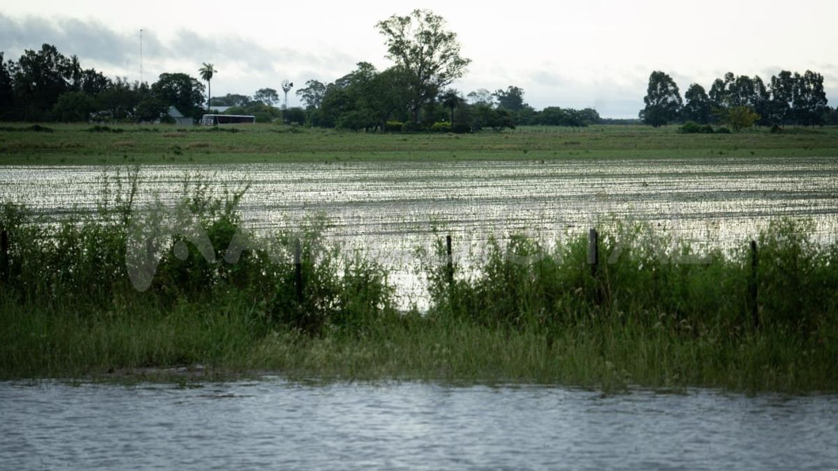 En Reconquista cayeron cerca de 360 milímetros en los últimos tres días. En Reconquista cayeron cerca de 360 milímetros en los últimos tres días.