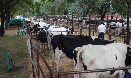 Cooperativas tamberas de Santa Fe se unen para ganar competitividad y pedir infraestructura