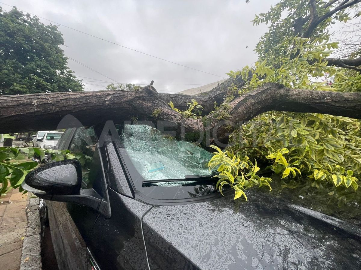 &nbsp;Intensas lluvias se vienen presentando desde primeras horas en la ciudad de Santa Fe y zonas aledañas.