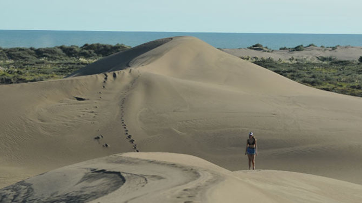 Escapada a Monte Hermoso en familia, el destino con las mejores playas y atractivos únicos. Escapada a Monte Hermoso en familia, el destino con las mejores playas y atractivos únicos.