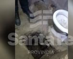 Hallazgo en la cárcel de Piñero: detectaron un túnel en medio de una requisa Hallazgo en la cárcel de Piñero: detectaron un túnel en medio de una requisa