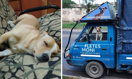 Rechazó trabajar en un country porque no lo dejan entrar con su compañero y se volvió viral Rechazó trabajar en un country porque no lo dejan entrar con su compañero y se volvió viral