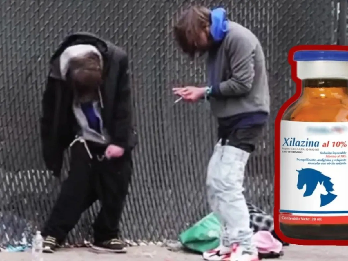 La droga zombie, xilacina, devasta a la población de Estados Unidos.
