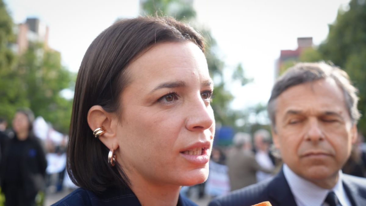 Lucila De Ponti se refirió al discurso de Maximiliano Pullaro en la apertura de sesiones de la Legislatura.