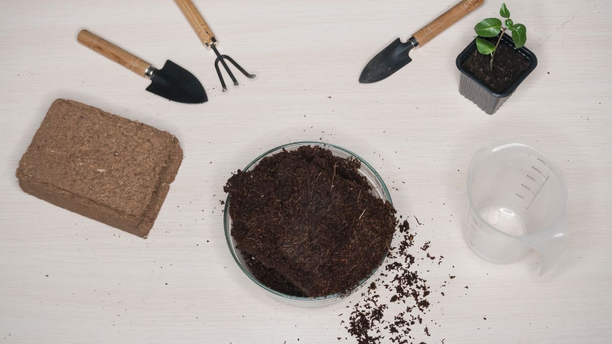 La mezcla debe llevar sustrato, compost y perlita.