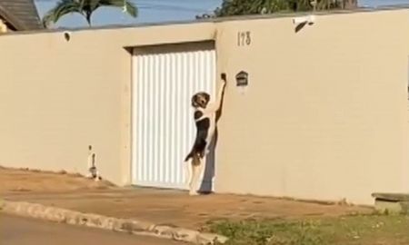 Viral: Su timbre no paraba de sonar, pusieron una cámara y se llevaron una sorpresa Viral: Su timbre no paraba de sonar, pusieron una cámara y se llevaron una sorpresa