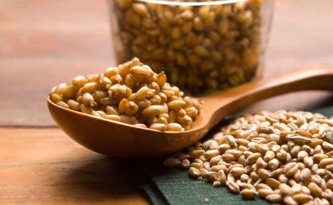El germen de trigo, rico en proteínas y potasio, es un considerado un superalimento por los beneficios que genera en la salud.