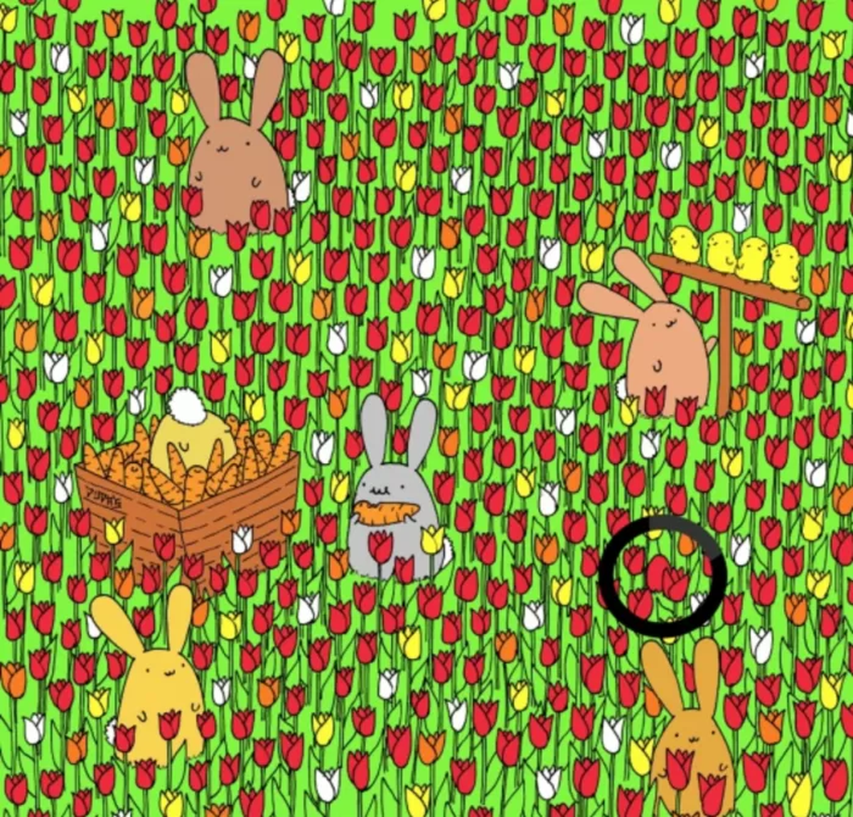 Solución del reto visual. Solución del reto visual.