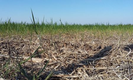 asociaciones rurales de entre rios piden declarar la emergencia agropecuaria asociaciones rurales de entre rios piden declarar la emergencia agropecuaria