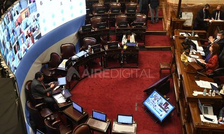 El Senado de la Nación sesiona virtualmente por la pandemia. El Senado de la Nación sesiona virtualmente por la pandemia.