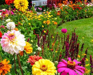 Sus flores rojas atraen colibríes y pueden llenar el jardín de color durante gran parte del año.