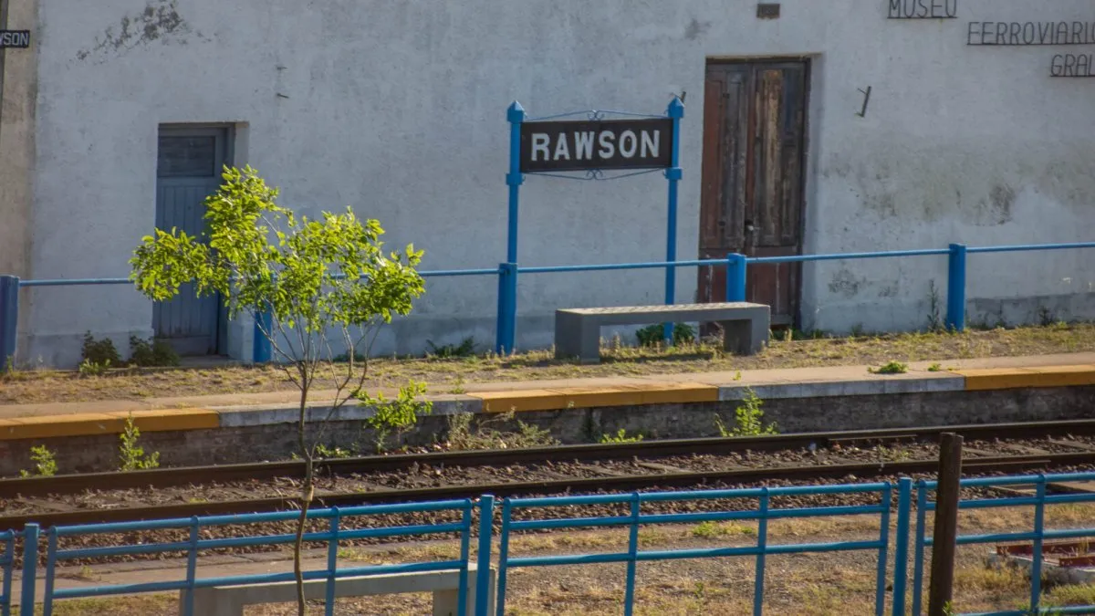 Violencia animal en Rawson: acribillaron a un perro a balazos y su familia exige justicia