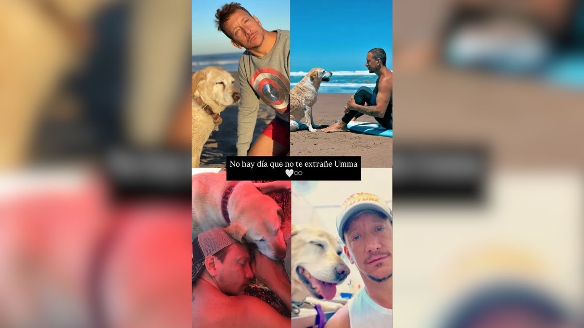 Nico Vázquez le dedicó un tierno posteo a su perra Umma. Nico Vázquez le dedicó un tierno posteo a su perra Umma.