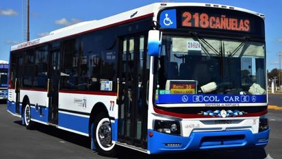 Un colectivo atropelló y mató a una nena de 4 años que cruzaba la calle con su familia: el video