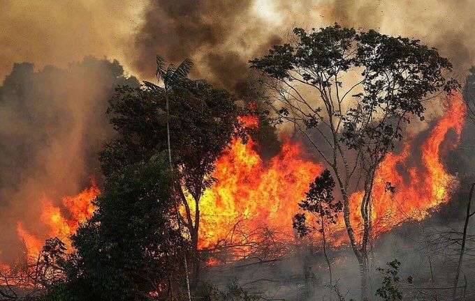 Amazonas: el “pulmón del planeta” arde entre la explotación productiva y la inacción del gobierno brasileño