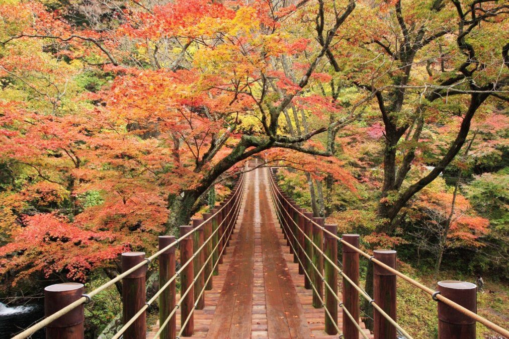 Horóscopo de este sábado 15 de febrero