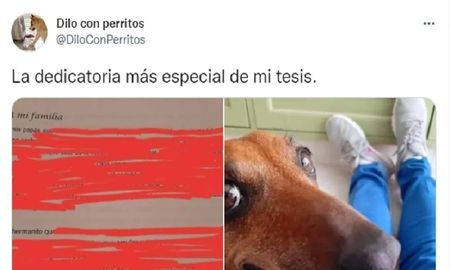 Le dedicó la tesis de su carrera a su perra y conmovió hasta las lágrimas a Twitter Le dedicó la tesis de su carrera a su perra y conmovió hasta las lágrimas a Twitter