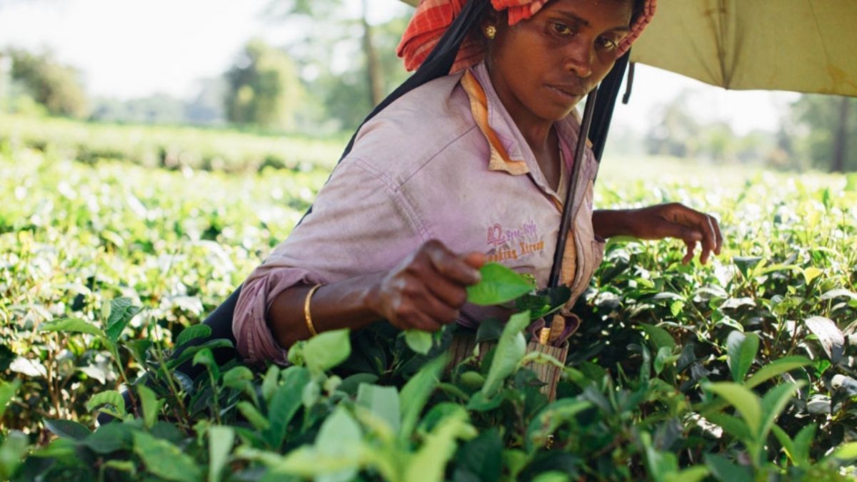 “En nuestras manos” fue anunciado el 16 de octubre pasado en forma conjunta entre el ministro del área