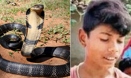 Una cobra mordió a un nene, él le devolvió la mordida y la serpiente se murió. Una cobra mordió a un nene, él le devolvió la mordida y la serpiente se murió.