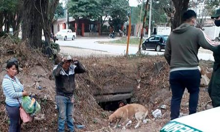 Bolivianos cruzan a Argentina a través de desagües pluviales para atenderse en los hospitales salteños por el coronavirus. Bolivianos cruzan a Argentina a través de desagües pluviales para atenderse en los hospitales salteños por el coronavirus.