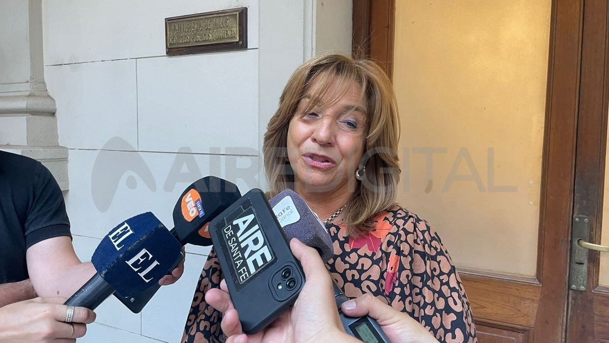 Silvina Frana participó de la reunión de este martes y brindó declaraciones al respecto.