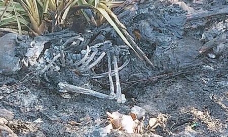 El hallazgo se produjo ayer en un sector descampado a orillas del río El hallazgo se produjo ayer en un sector descampado a orillas del río