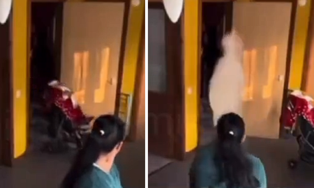 Una mujer logró filmar al fantasma que se adueñó de su casa. Una mujer logró filmar al fantasma que se adueñó de su casa.