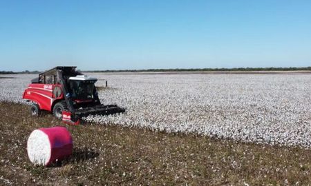 la maquinaria del inta al servicio de la produccion: los desarrollos en la expo de reconquista la maquinaria del inta al servicio de la produccion: los desarrollos en la expo de reconquista
