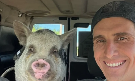 Repudio: adoptó a un chanchito como mascota, pero se lo comió en un asado con los amigos Repudio: adoptó a un chanchito como mascota, pero se lo comió en un asado con los amigos