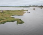 La densa masa de vegetación se acumuló en los pilotes del antiguo puente ferroviario de la Laguna Setúbal. La densa masa de vegetación se acumuló en los pilotes del antiguo puente ferroviario de la Laguna Setúbal.