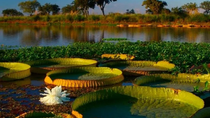 Escapada a un paraíso de Corrientes, considerado el mejor destino de este 2024