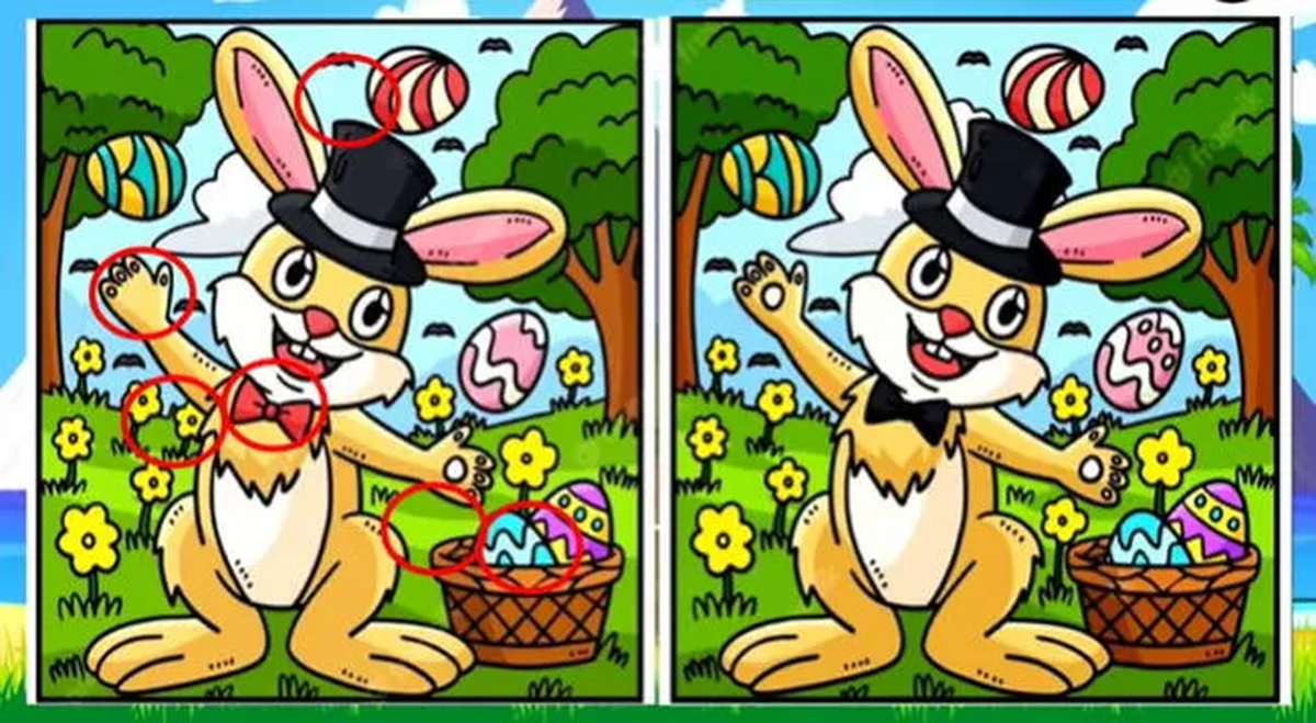 Solución del reto visual. Solución del reto visual.