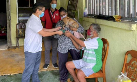 Perra heroína: salvó a su familia humana de morir en un incendio Perra heroína: salvó a su familia humana de morir en un incendio