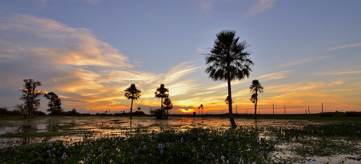 Litoral argentino: Entre R&iacute;os, Corrientes y Misiones