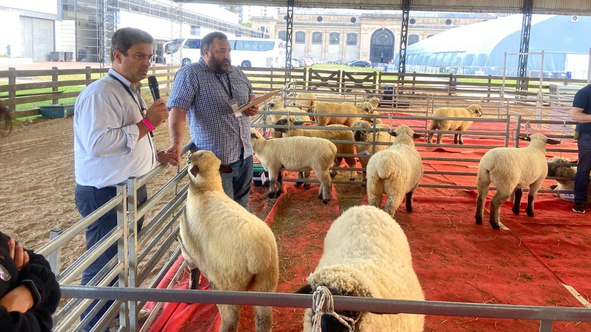 El Curso Internacional de Jurados Hampshire Down se dictó por primera vez fuera de Gran Bretaña.&nbsp;