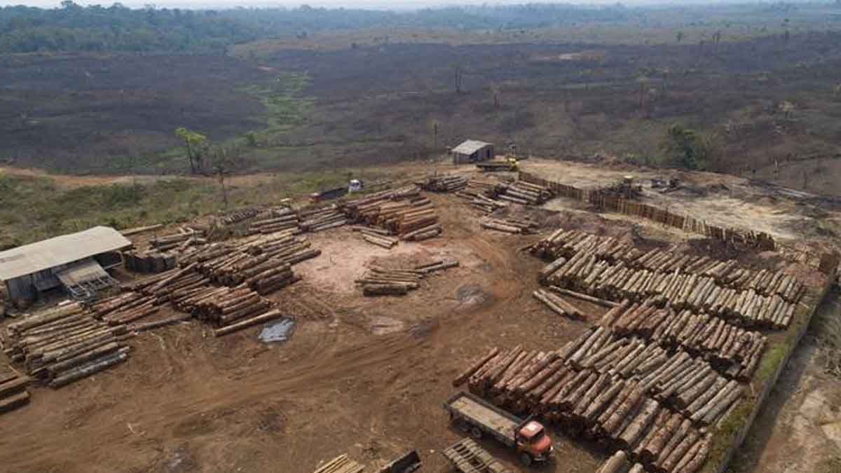 Deforestación en Amazonía 